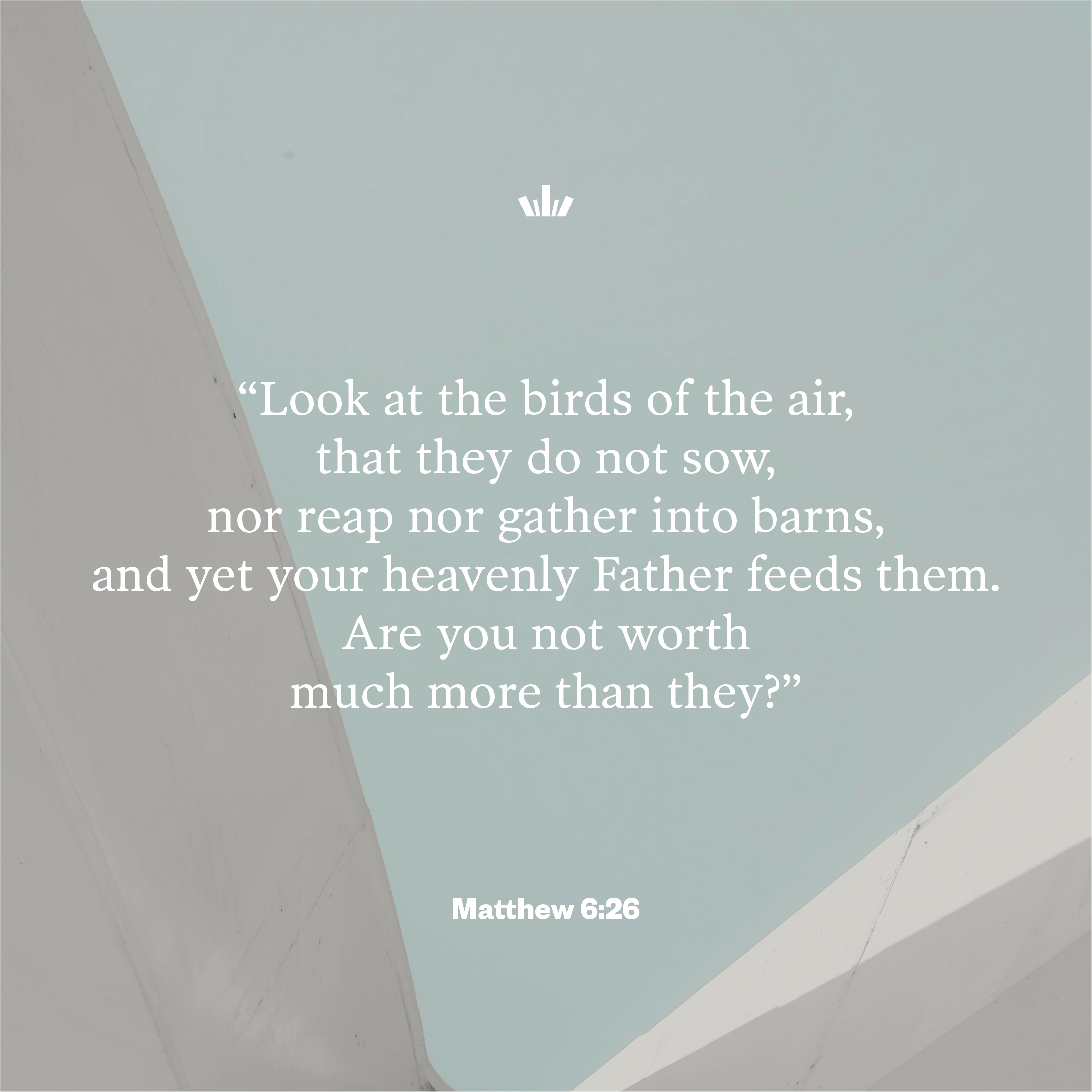 Matthew 6:26